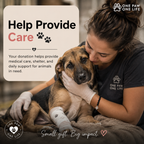 Helping Animals in Need 🐾