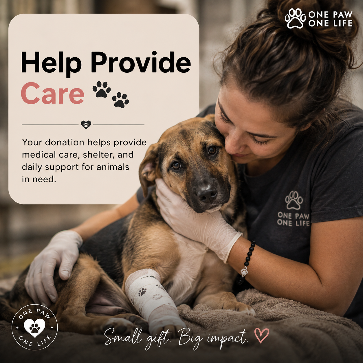 Helping Animals in Need 🐾