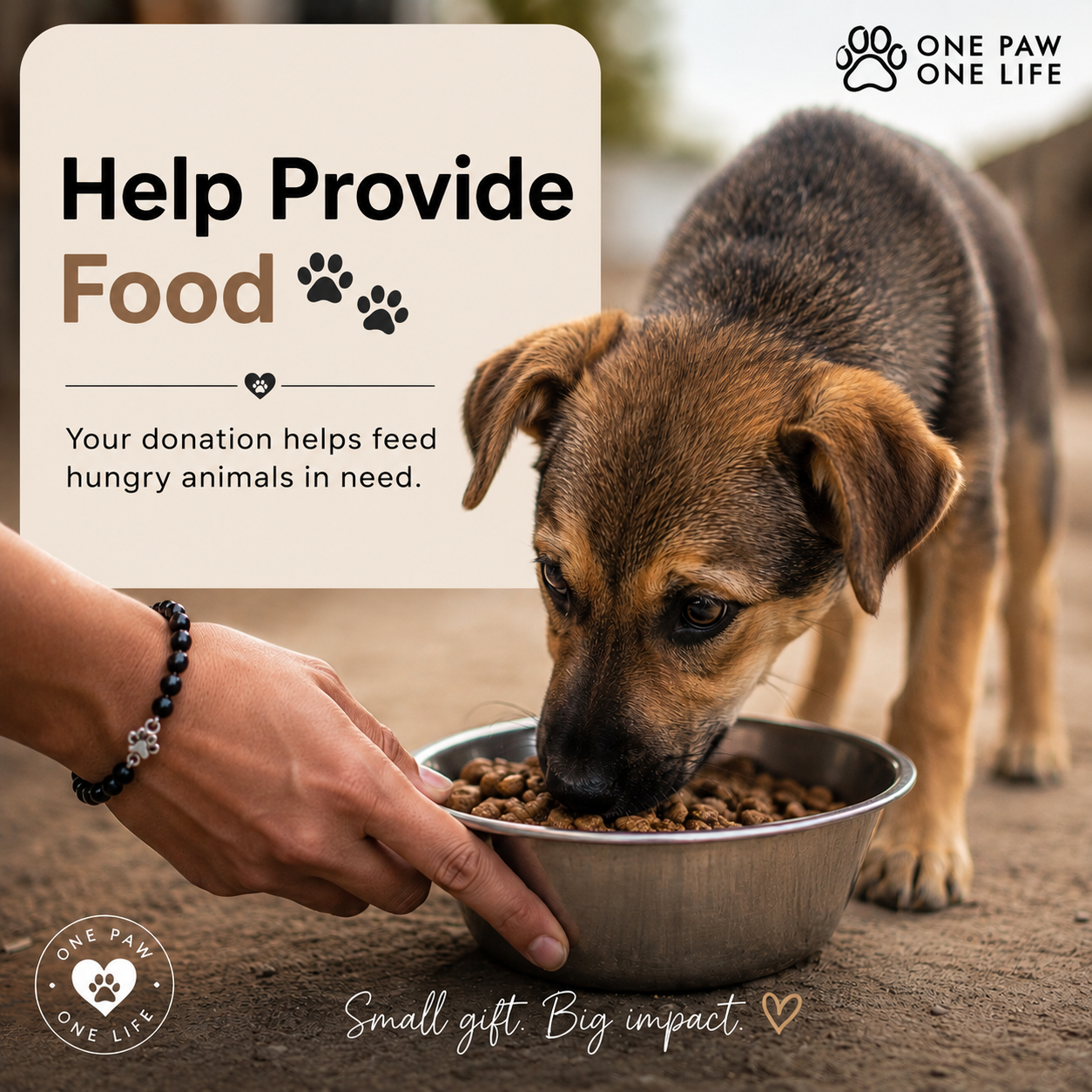 Helping Animals in Need 🐾