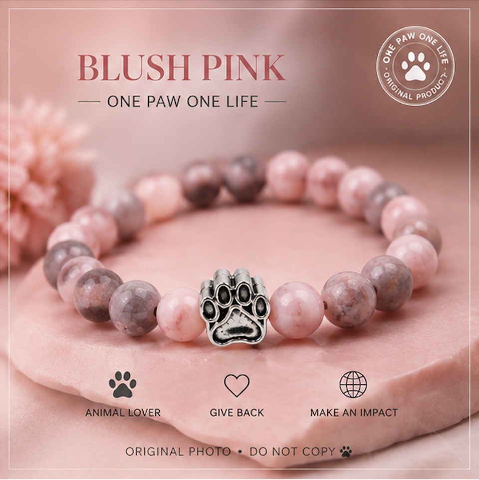 The Paw Bracelet™ 🐾