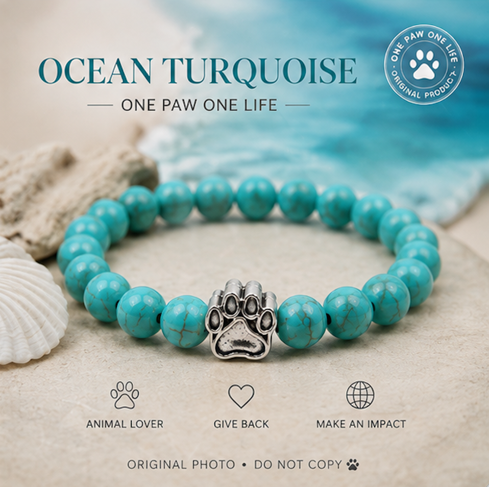 The Paw Bracelet™ 🐾